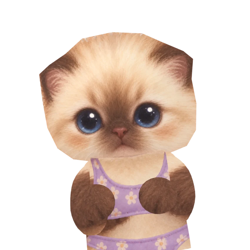 Cute cat ready for a holiday